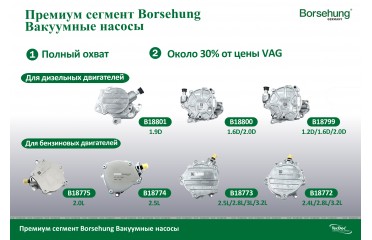 Вакуумные насосы BORSEHUNG - vacuum pump BORSEHUNG